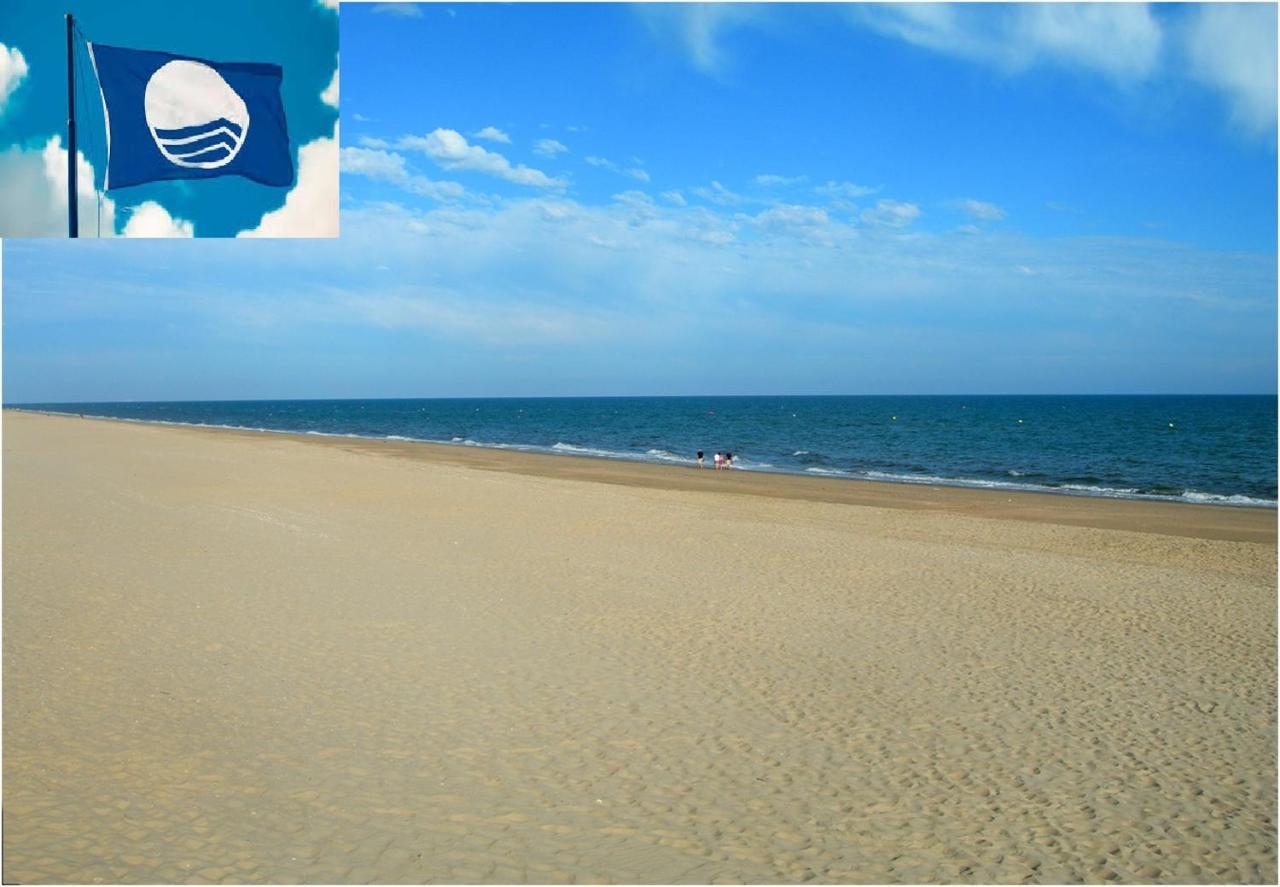 Apartamento Cerca Del Mar Олива Екстериор снимка